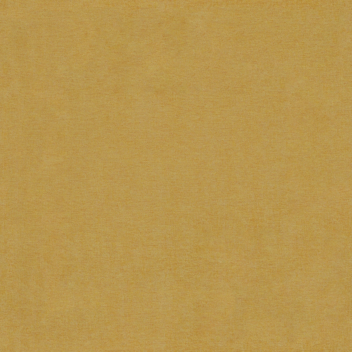 Domea — photo 3
